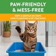 thumbnail image 4 of Arm & Hammer Feline Pine Non-Clumping Natural Cat Litter, 9.07 kg, 4 of 5
