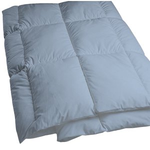 Dust Mite- and Allergen-Proof Comforter; “DreamFill/Premium Microfiber” (Twin; Blue/Gray)