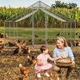 thumbnail image 1 of Walk-In Chicken Coop – Large 9.84x19.68x6.56 FT – Sturdy Metal Poultry Enclosure – Spire Roof & Security Lock – Hens, Ducks & Rabbits – Backyard & Farm – Natural, 1 of 8