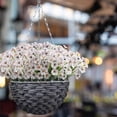 thumbnail image 1 of Simulation Violet Artificial Flowers Outdoor Protection Artificial Flowers Garden Decoration Artificial Flowers, 1 of 1