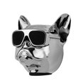 thumbnail image 2 of Haut-parleur pour Chien Portable Stéréo True Wireless Bluetooth Rechargeable : Argent, 2 of 8