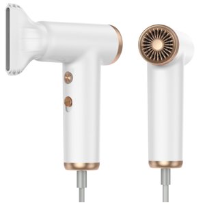 High-Speed Ionic Hair Dryer with 110,000 RPM Brushless Motor, Professional Lightweight Blow Dryer for Fast Drying, Frizz Control & Shine, Includes Magnetic Nozzle