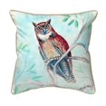 thumbnail image 1 of Betsy Drake SN732 12 x 12 Po. Coussin Intérieur & Extérieur Petit Hibou en Turquoise, 1 of 1
