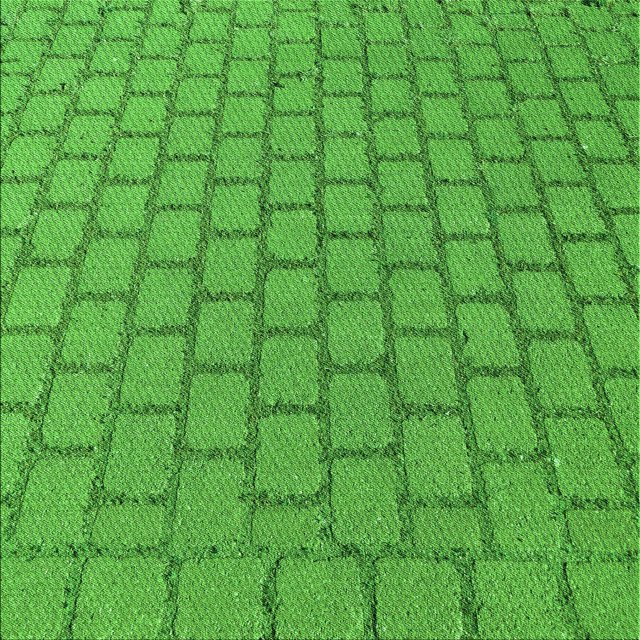 Ahgly Tapis d'Intérieur Lavable en Machine Carré Transitionnel Vert Néon, 8 Pieds Carré