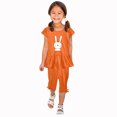 thumbnail image 2 of Chemises pour Filles, Ensemble Deux Pièces Été Col Rond Petit Imprimé Manches Courtes Manches Volantes Taille Élastique Pantalon Court, 2 of 4