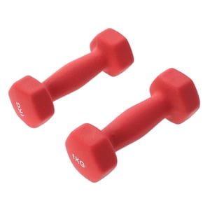 HAMPPLIES Workout Dumbbell For Women With Neoprene Coating Pink 2Pcs