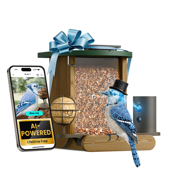 Birdfy Feeder Cedar D - Smart Bird Feeder with Camera, 1080P FHD 60FPS, AI Bird ID, Solar Powered, Suet Ball Holder