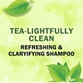 thumbnail image 3 of Herbal Essences Tea-Lightfully Clean Shampoo & Body Wash, 3 of 11