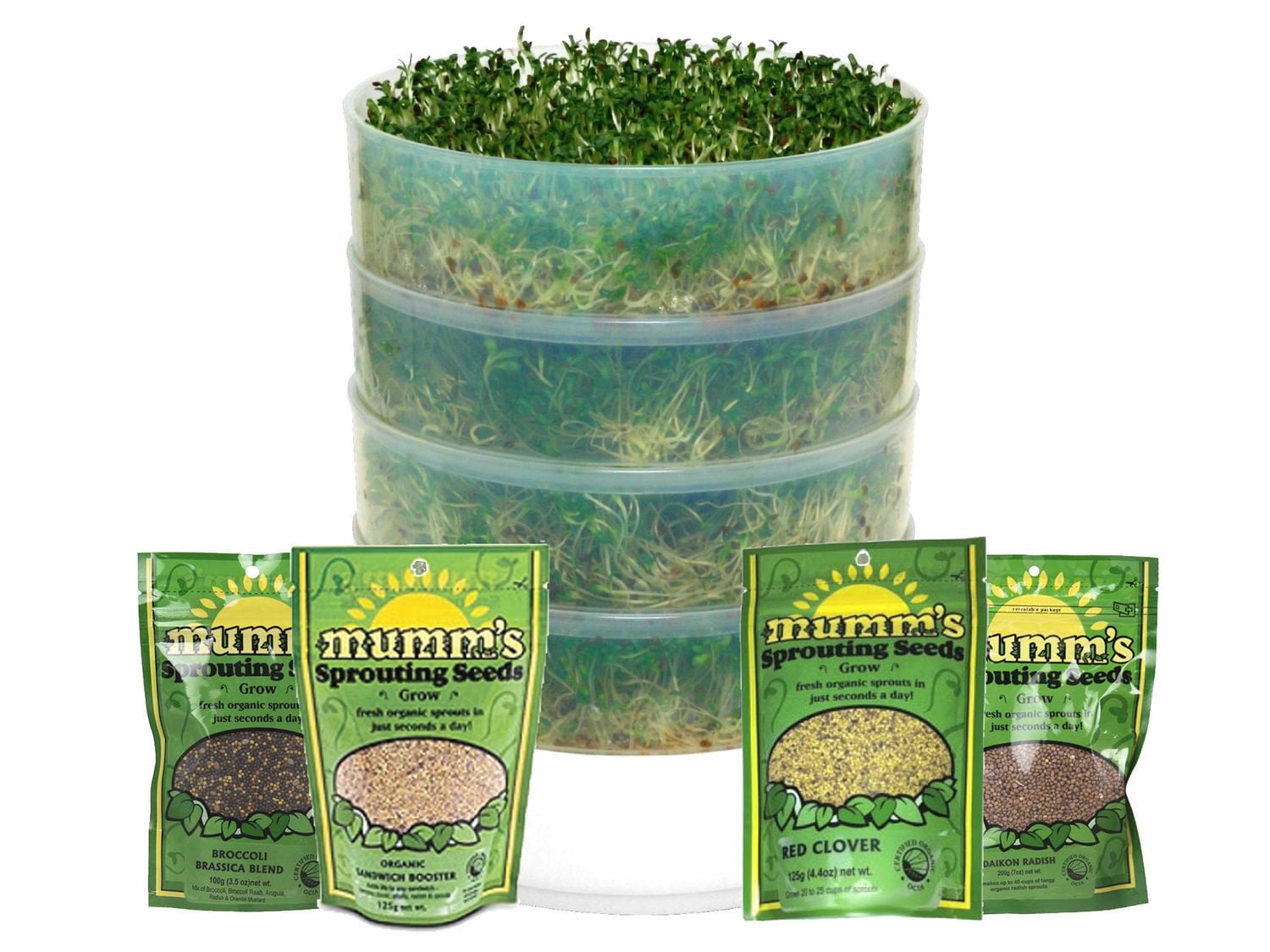 4 plateaux de germination de semences Victorio avec sachet de démarrage