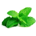 thumbnail image 3 of Mint, Fresh, Sold in bunches, 3 of 7