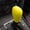 Yellow, variant on Dvkptbk Gear Shifter Knob Car Gear Shifter Knob Cover, Elastic Car Automatic Shifter Protector Cover, Universal Antl-Slip Auto Knob Gear Stick Protector Vehicle Accessories