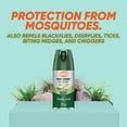 thumbnail image 3 of OFF! Deep Woods Insect Repellent, Dry Formula, 3 of 9