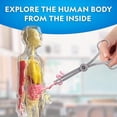thumbnail image 3 of National Geographic Glow-in-the-Dark Human Body, 3 of 8
