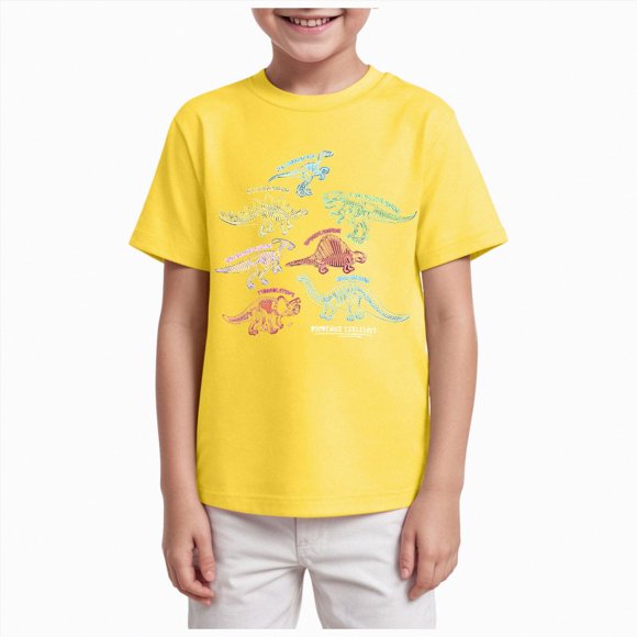 gdxvjhbj Toddler Shirt T Shirts for Boys Toddler Girls Dino Types of Dinosaurs Kids Retro Tshirt Kids Summer Tee Tops 3T 4T (Yellow,3-4 Years)