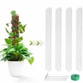 thumbnail image 1 of Becaristey Plantes Train Creeper d'Intérieur Plante en Pot Tige de Mousse Ensemble de 2 Pcs, 1 of 6
