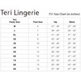 thumbnail image 5 of Kathryn Light Tummy Control Microfiber Brief 2-Pack (Style 751) by Teri Lingerie, 5 of 5