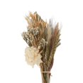 thumbnail image 4 of Palm Spear with Natural Dried Boho Decor Brown, 4 of 7