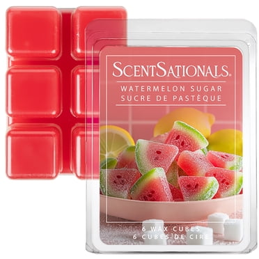 ScentSationals Scented Wax Cubes - Watermelon Sugar