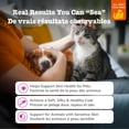 thumbnail image 2 of Zesty Paws Wild Alaskan Salmon Oil Formula Fish Oil Supplement For Cats and Dogs, 8 oz, 2 of 11