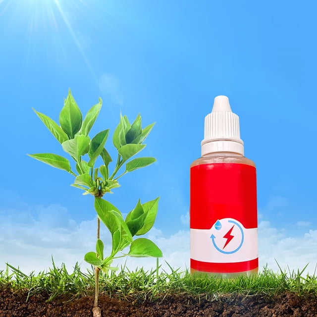 Rooting Tool for Enhanced Growth Phytovitamin Solution 50ml for Optimal Development and Transformation Gardening Aid for Propagation and Strengthening