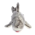 thumbnail image 2 of Aurora Peluches Mini Flopsie-Samuel (Requin) 8 Pouces, 2 of 2