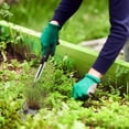 thumbnail image 3 of Outil de Désherbage Manuel pour Jardinage, Outil de Désherbage Manuel, Désherbeur pour Raclage, Acier au Manganèse, Outil de Jardin Multifonction, Style Acier Inoxydable B, 3 of 6