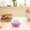 7 egg cooker Under $5 a3, variant on Cagogo Egg Cooker for Boiled Eggs, 7 Egg Steamer Electric Single Layer, Multifunctional Rapid Egg Cooker, Auto Shut Off Steamer for Corn Milk Soup, Compact Plastic Steamer for Kitchen Countertop