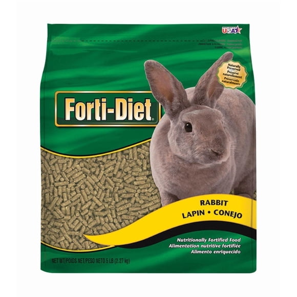 Kt Rabbit