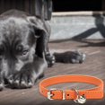 thumbnail image 5 of REK Candy Color Pet Collar Minimalist Cat & Dog Collar With (Adjustable Leather Neckband), 5 of 5