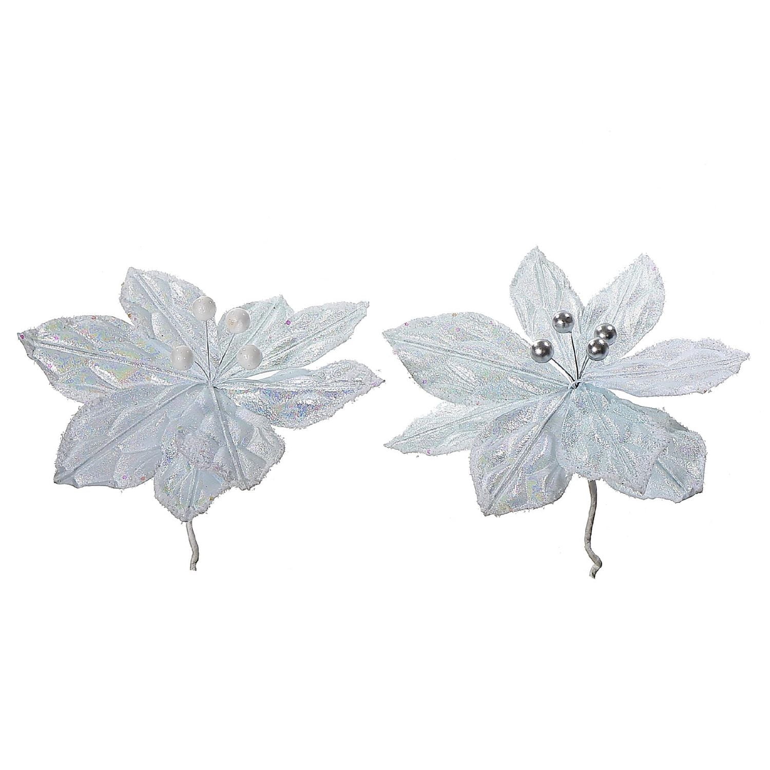 Pic À Poinsettia Blanc - Lot De 12