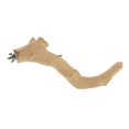 thumbnail image 2 of Natural Wood Pet Parrot Stand Toy Parrots Unique Shape Perches for Bird Cage 2.5x30cm, 2 of 8
