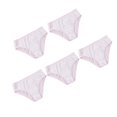 thumbnail image 3 of LEEYNEER 5 Pcs Culottes Menstruelles Jetables Respirantes Sans Odeur pour Femmes, 3 of 8
