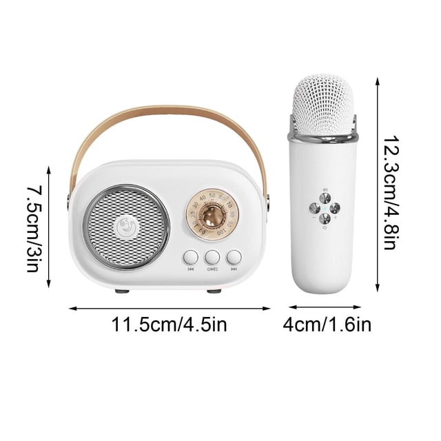Haut-parleurs Bluetooth Sans Fil, Mini Machine de Karaoké avec Ensemble de Microphone Haut-Parleurs Bluetooth Portables pour Enfants et Adultes Style Rétro