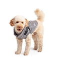thumbnail image 2 of One Paw, Harness Jacket for Dogs, Multiple Sizes and Colours, Charcoal, 2 of 8