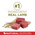 thumbnail image 4 of Purina ONE Lamb & Rice Formula, Dry Dog Food 7kg, 4 of 9