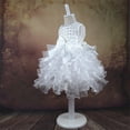 thumbnail image 2 of WEAIXIMIUNG Robes de Fête pour Filles 10-12 2024 Filles Printemps Été Uni Fête Mariage Robe Fleur Fête Jupe Tutu en Maille Robe Enfants Dentelle Robe de Soirée, 2 of 6