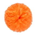 thumbnail image 1 of HBFAGFB Party Decorations Handheld Colorful Flower Event Sports Cheering Supplies Lightweight A, 1 of 4