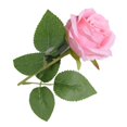thumbnail image 4 of Artificial Roses, Silk Rose, Handcrafted Flowers, Flowers Decorative Ornament for Home Decor, Wedding, Banquet, and More, 4 of 8