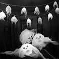 thumbnail image 5 of Halloween Light String Ghost LED Battery Lamp Festival Horror Party Decoration  10 LED Colorful, 5 of 5