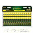 thumbnail image 2 of GoGreen Power 24049 - Alkaline AAA 48pk, 2 of 6