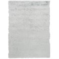 thumbnail image 4 of Safavieh Paris Darwin Plush Shag Area Rug, 4 of 6