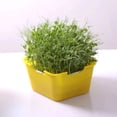 thumbnail image 2 of Garden Planter Box,Seed Sprout Tray Growing Planter Sprout Box Permanent Hydroponics Seed Germinati,Vegetable Planter Box, 2 of 3
