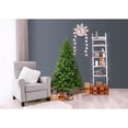 thumbnail image 4 of Puleo 6.5ft Dixon Pine Tree, 4 of 5