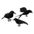 thumbnail image 4 of 3Pcs Halloween Crows Black Simulation Feather Crow Animal Model Halloween Crows Style B, 4 of 9