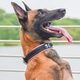 thumbnail image 4 of MesaSe Colliers pour Chiens - Collier Réfléchissant avec Boucle en Métal Durable Collier d'Entraînement en Nylon Réglable Adapté aux Chiots pour Petits Moyens Grands Chiens, 4 of 4