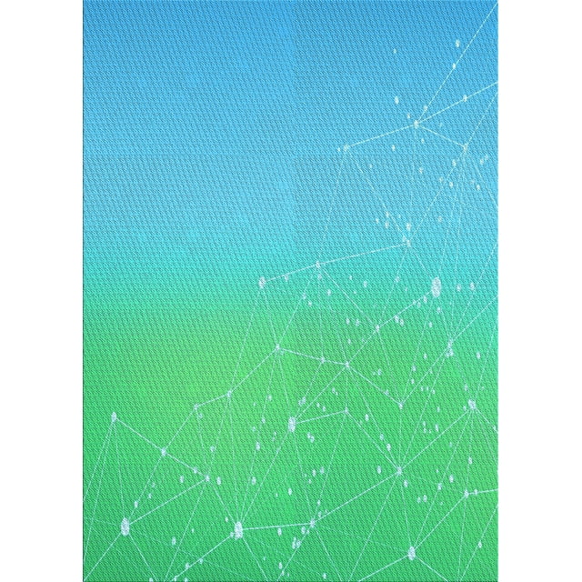 Ahgly Company Tapis d'Intérieur Lavables en Machine Rectangle Transitionnel Vert Turquoise Foncé, 4' x 6'
