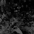 thumbnail image 1 of Primitive Man/Unearthly Trance - Split, 1 of 2