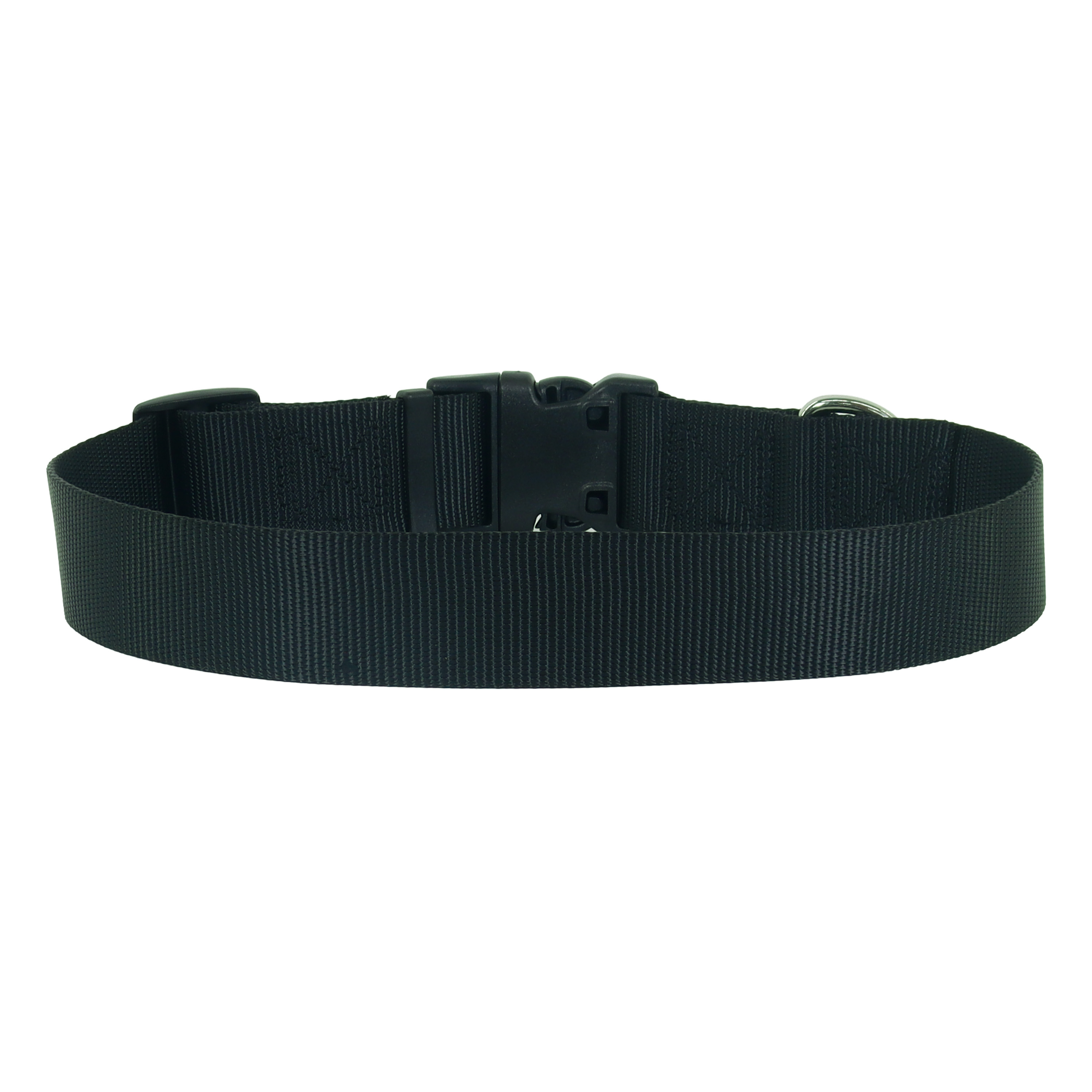 Pet Attire by Coastal Small 8-12" Black Adjustable Buckle Dog Collar