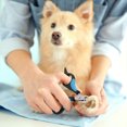 thumbnail image 3 of Professional Pet Cat Nail Clipper Scissors Trimmer for Cats, Rabbits and Small Animals, Cat Claw Clippers Scissors, Stainless Steel style 2, 3 of 5