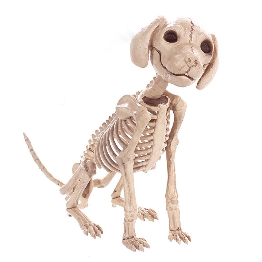 Halloween Decoration Animal Skeleton Bone Decoration Creepy Spider Bat Decoration